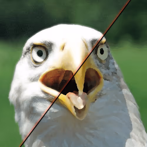 Item #60839276870702459536115980663435026977207856631347422568339333086644243791873 Media