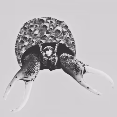 267812629961446461725272627810692913526772756799582271429818469689868681217