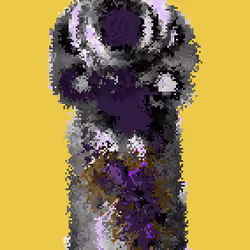 Boomstick #1