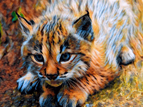 Item #5268166588450870648624449421433370993939742768172324454239271390008125161473 Media