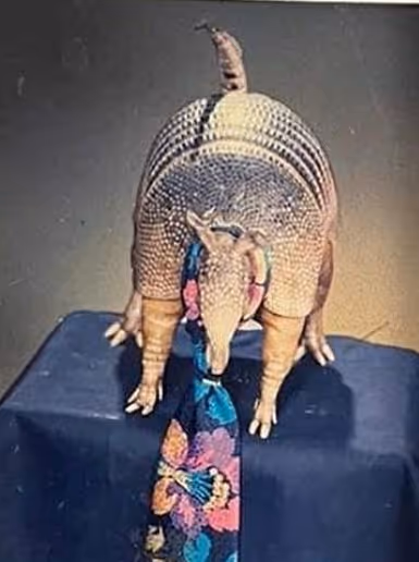 Item #38106147289059562624315923086670218807299365439100353594280177369672350433281 Media