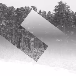 Double Rectangle (Exclusive Edition)