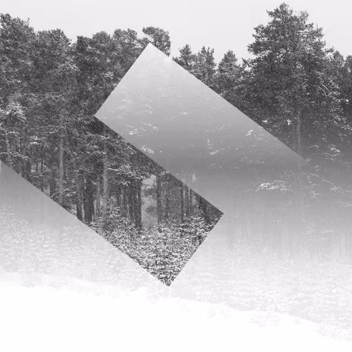Double Rectangle (Exclusive Edition)