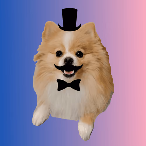 Item #3560783874792715671712745286407203276345802856422706670226307894742735650817 Media