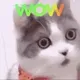 9440852347500737952600450424165145312186164405560325669440979314774862987284