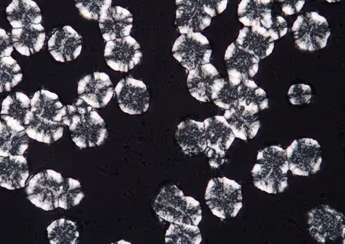 Item #74354094279937263719248488513785771079420652454590693798623580879374524612609 Media