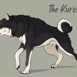 The Kurosiba