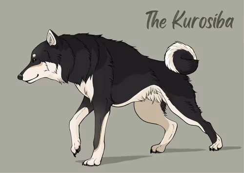 Item #14268345023035082943470818496241781613388534062258731701202849686261914927105 Media