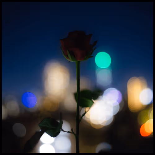 65735283901235411095565859455791530090015704811558660765095343388601457049609