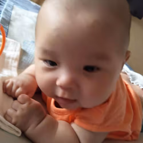 Untitled Collection #86790095