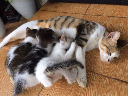 Item #48379251883092317443194330208135156888907821779132589659342184512260998692865 Media