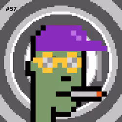 CryptoDeveloperPunk#57