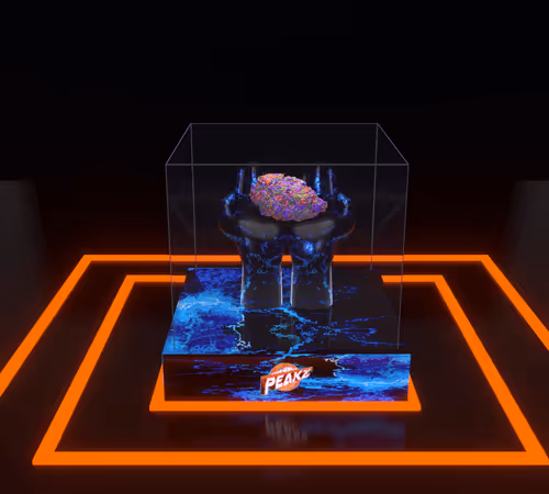 Item #30416664768498730083160680636723480070814186252642691524355121048502730227713 Media