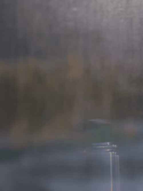 Item #56631410671992674671616436842369211275929346964942698598154381945615947923457 Media