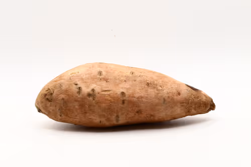 Item #97726151104522163495278545296769301934737660224123995419035737068513905344513 Media