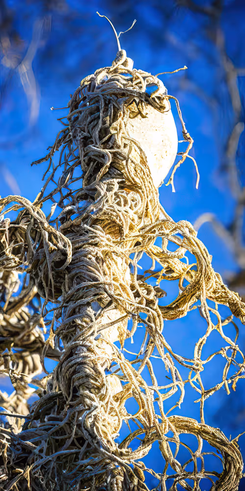 Item #53204195999668057401361450590388499232587888718751066529720239248819246596097 Media