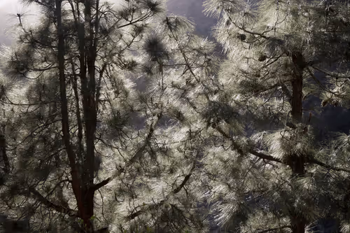 2495895736977934974538012810056584036049628641576847568535508425323399086081