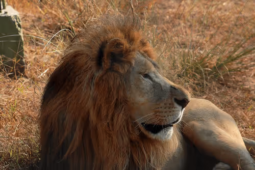 Item #81039049813216597257953829520223769972049979763513540310904561874863197782017 Media