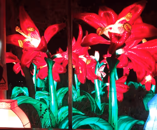 Item #94786805634526358715119392436618927677062396425607217314342067585568848478209 Media