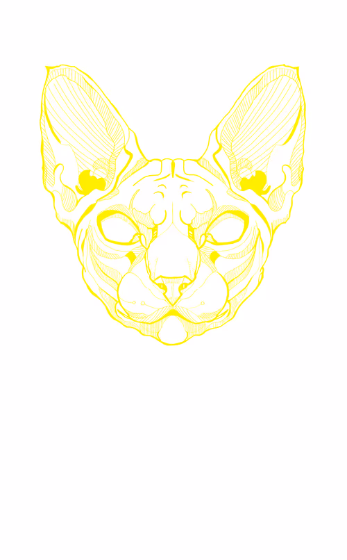 Item #84297988521860449487920326360898468511054866812923401198130100105251544629249 Media