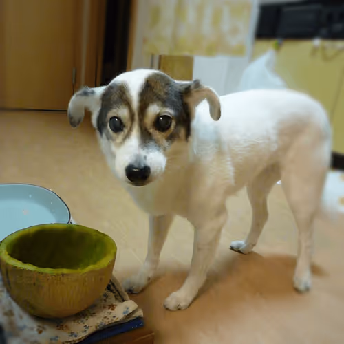 Item #21641457647604119415336293419062628234912656034096128592142110514535056015365 Media