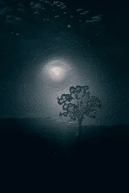 Item #52655132106615007427639537052126499358755561016261279021780266139614403624961 Media