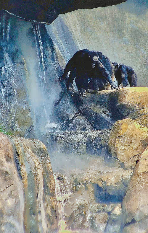 Item #105394010161551018097936078642910549059002323015222353178191529767712015253505 Media