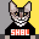 85876057152719655446786077003309861205031470611805372357933186998998776414209