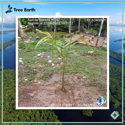 Item #8500196597889277390194123329501889087166328879864934763448349360277988311041 Media