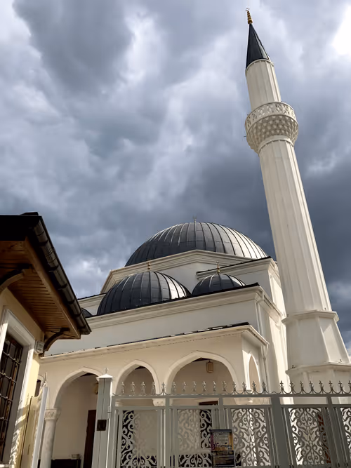 Item #57164340370605487482771130434956821177092171765090651853542028315394723282945 Media