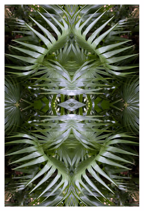 Item #43460632666851788509926658809228942644506618275693919397643606298837462810625 Media