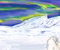 #39 Polar Lights