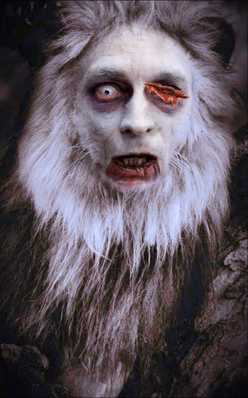 Item #58260198782654195468413891163652142906828885851206301776881640278075218329601 Media