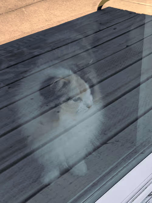 Item #103823190638075684652461829267274249161173063347509023641376403475628218646529 Media