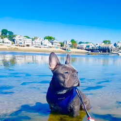 99031261785432219130552668818269695456905868997165113515571762434699952128001