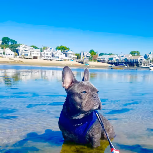 99031261785432219130552668818269695456905868997165113515571762434699952128001