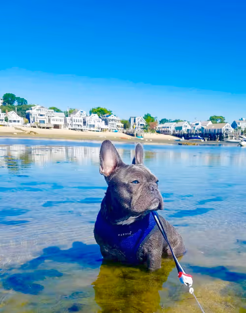 Item #99031261785432219130552668818269695456905868997165113515571762434699952128001 Media