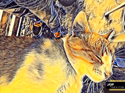 Item #70173555060280459679020221103172679865592931086946583501557978910688339296257 Media