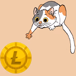6350837724175369871207491628993880744259048437356542206956245713519994994689