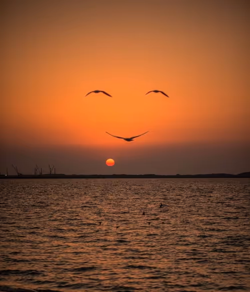 Item #83462484926125179177933876272722647181473475967863052278931111138334445928449 Media