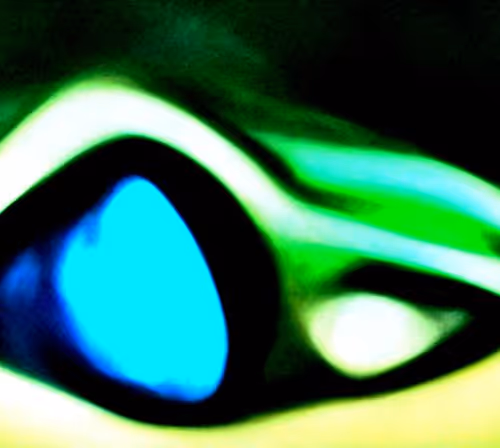 Untitled Collection #264461659