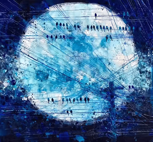 Item #66284851200535990209037660905510907933763150793561660065164175181766734118917 Media