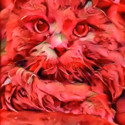 Cat 0046
