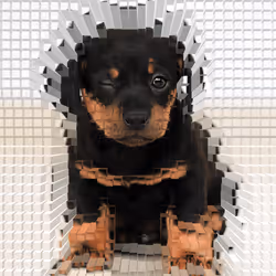 11276162529628641556553056529614973332754405277106184420845744841003242618881