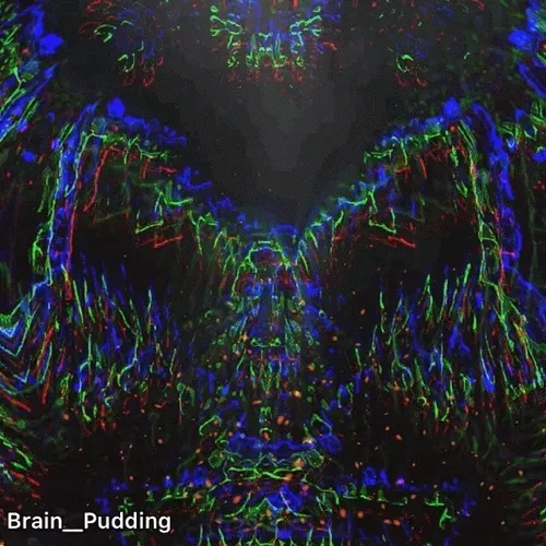 Item #113439454691178996606333270529637530145403269935042134011405949885848615911434 Media