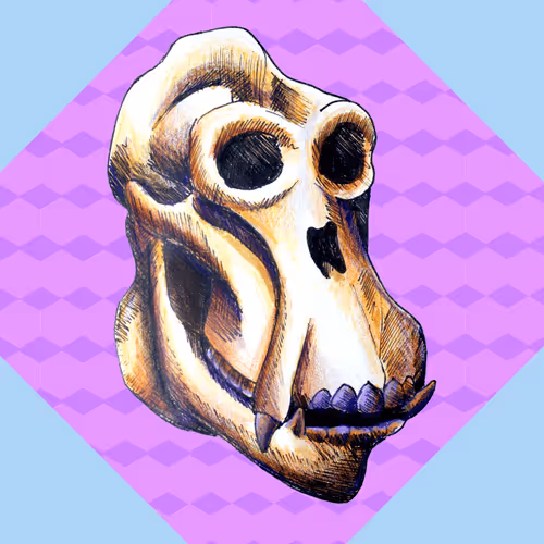 Item #36174433589321644146614358493926783599740713347457053228795575969071576907777 Media