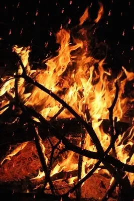 Item #24515379016287833430110687259411372809394655166763807580583558320287540838410 Media