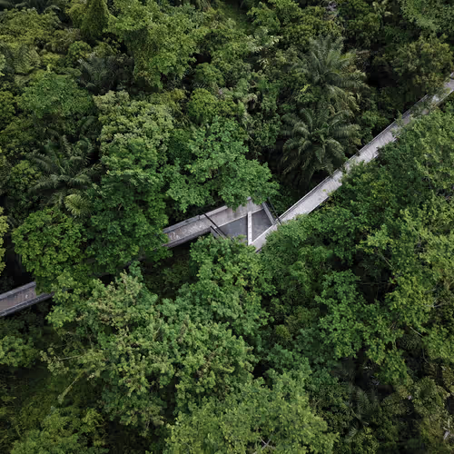 Item #42367402454926581942619760928835310535724341624545693814929607769238267756559 Media