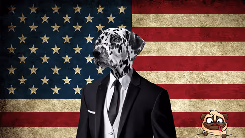 Item #66079811091048874413767148958061110153193426542618635369456997898242165309441 Media