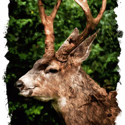 11276162529628641556553056529614973332754405277106184420845745105985544912897